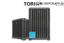 Torin.webp